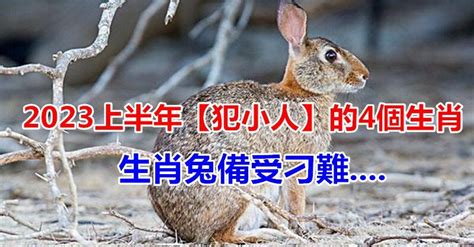 犯小人如何化解2023|2023上半年「犯小人」生肖！屬兔備受刁難 農曆「這。